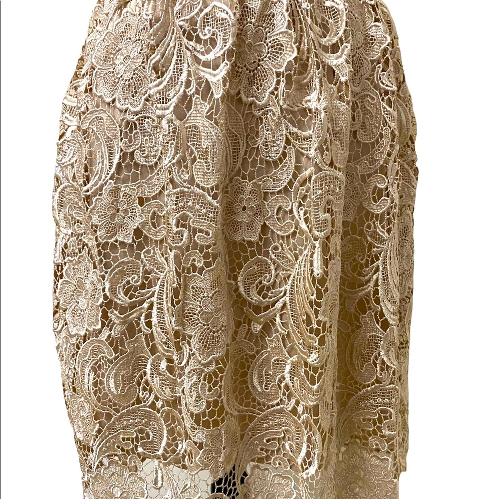 ADRIANNA PAPELL Lace Illusion Midi Size 4 - Picture 4 of 15
